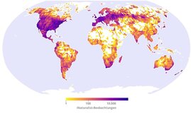 Datenpunkte wurden mit iNaturalist auf der ganzen Welt erfasst