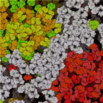 Schematische Darstellung von dicht gepackten Molekülen in einer Zelle. 