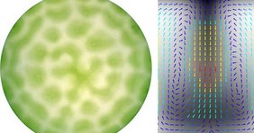 Strömungsmuster photosynthetischer Mikroorgansimen in einer runden Petrischale (links, Draufsicht) und Strömungsprofil in einer abgedichteten Kammer (rechts, Querschnitt)