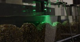 Fließrinne mit Mikroplastik