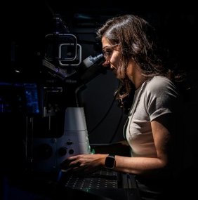 Patricia Reis-Rodrigues am Mikroskop im Labor am ISTA. 