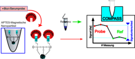 funktionalisierte Nanopartikeln