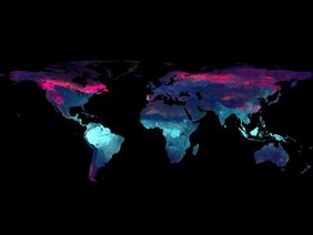 Mithilfe neuer Methoden erstellten die Forschenden die bislang detailliertesten Karten wichtiger Pflanzenmerkmale., zu sehen sind alle Erdteile