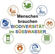 Biodiversität im Süßwasser 