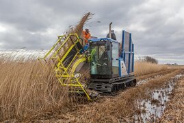 Mähdrescher auf einem Feld