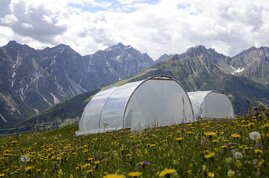 Einfluss der Klimaerwärmung auf den Kohlendioxidhaushalt von Landökosystemen