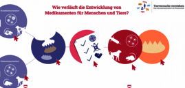 Eingansseite der Präsentation von Tierversuche verstehen