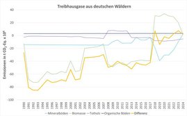 Grafik: Die Entwicklung der Kohlenstoffspeicher Baum und Boden. 