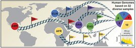 Umfassende Kartierung genetischer Variationen (symbolisiert durch Fähnchen) 