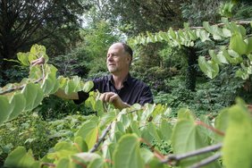 Norbert Kühn leitet das Fachgebiet Vegetationstechnik und Pflanzenverwendung an der TU Berlin Norbert Kühn an einer Pflanze