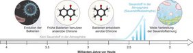 Grafik Evolution der Sauerstoff-Atmung 