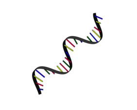 Schematische Darstellung RNA