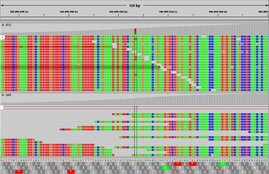 Mutationsanalyse: Die bunten Kacheln stehen für einen Exom-Ausschnitt eines Tumorgenoms.