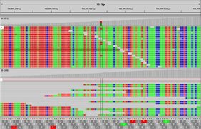 Mutationsanalyse: Die bunten Kacheln stehen für einen Exom-Ausschnitt eines Tumorgenoms.