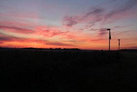 Lichtverschmutzung Biodiversität