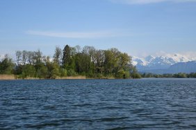 Seen wie der Baldeggersee wirken als natürliche Stickstoffsenken und tragen dazu bei, die Ökosysteme flussabwärts vor Nährstoffverschmutzung zu schützen. Baldeggersee
