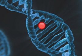 Symbolbild DNA DNA