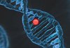 DNA-Strang mit markierung