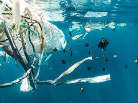 Plastikmüll treibt im Meer