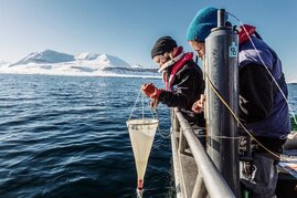 Biologen entnehmen Proben mit einem Netz aus dem Meer