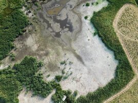 m Sommer 2018 trockengefallene Wasserfläche im Polder Zarnekow, einem der Untersuchungsstandorte. In den folgenden Wochen hat sich auf der Fläche rasch neue Vegetation angesiedelt und dabei effektiv Kohlendioxid gespeichert.  