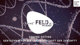 querFELDein-Podcast: Neue Folge zu Genome Editing