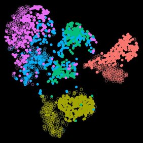 Eine Visualisierung der Einzelzell-Analyse von embryonalen Stammzellen der Maus