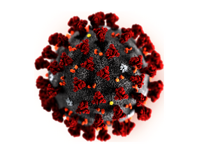 Coronavirus