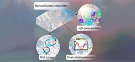 DNA-Chips Speichermedien der Zukunft 