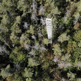 Luftaufnahme des Versuchswaldes bei Hartheim mit dem 30 Meter hohen Kronenzugangsturm