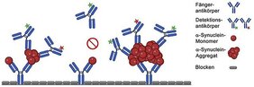 Parkinson sFIDA-Messprinzip