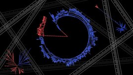 Baumdiagramme wie dieses bilden die Stammesgeschichte von Bakterien ab. Sie sind die Grundlage für das Verständnis mikrobieller Evolution. 