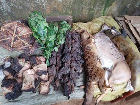 Wildtierfleisch
