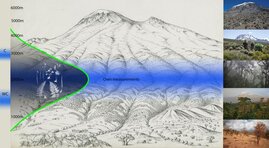 Vergleich gemessener und modellierter Niederschlagsmaxima im Hinblick auf ihren Erklärungswert für biologische Fragestellungen am Kilimanjaro. 