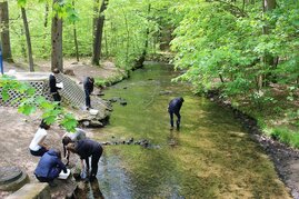 Citizen Science