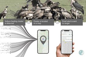 MoveApps hilft Tierschützern dabei, gefährdete Tiere schnell aufzuspüren