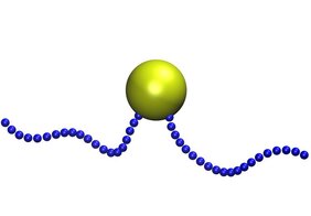 Computersimulation des Göttinger Teams: ein schwimmendes Bakterium mit nach vorn und nach hinten gerichteten Geißeln.