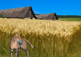 Katze vor Getreidefeld und Bauernhütte