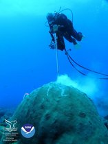 Probenahme an einer Steinkoralle in einem der Riffe des Flower Garden Banks National Marine Sanctuary. Ein Taucher entnimmt eine Probe an einer Steinkoralle in einem der Riffe des Flower Garden Banks National Marine Sanctuary.