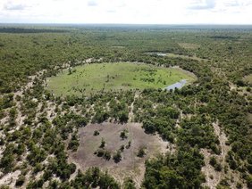  "Feenkreise" – runde Stellen, an denen die Vegetation geschädigt ist, wie hier im São Francisco Becken in Brasilien