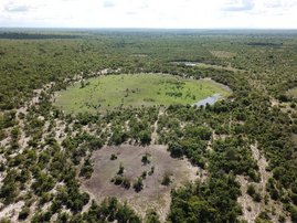  "Feenkreise" – runde Stellen, an denen die Vegetation geschädigt ist, wie hier im São Francisco Becken in Brasilien