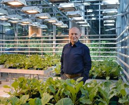 Professor Uwe Conrath im Gewächshus umgeben von Pflanzen