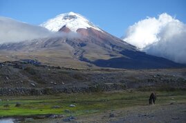 Im Nationalpark Cotopaxi in Ecuador. 