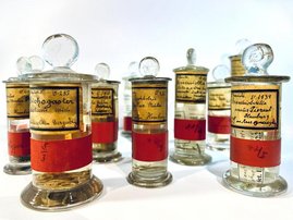 alte Glasgefäße mit Typusexemplaren