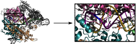  Struktur von Cas9, das an eine einzelne guide-RNA (Gerüst in dunkelgrau, spacer in gelb) und einen DNA-Zielstrang (violett) gebunden ist. Die Änderung des Aminosäure-Rests Q768 (orange, gestrichelte Box) ergibt eine spezifischere Cas9-Variante