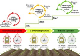 Grafik Der Weg zu einer Si-basierten Landwirtschaft. 