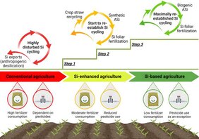 Grafik Der Weg zu einer Si-basierten Landwirtschaft. 