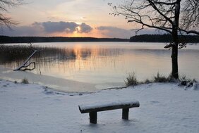 Der Stechlinsee im Winter. 