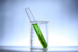 Wie Algen ihre Lichtausbeute dynamisch regulieren Reagenzglas mit grüner Flüssigkeit