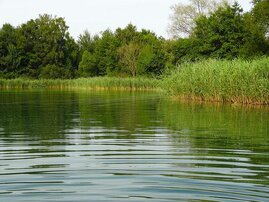 See mit Ufer